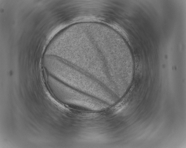 X0000076101382200610152332