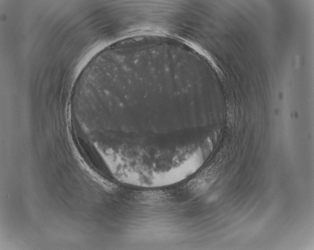 X0000076101383200610152332