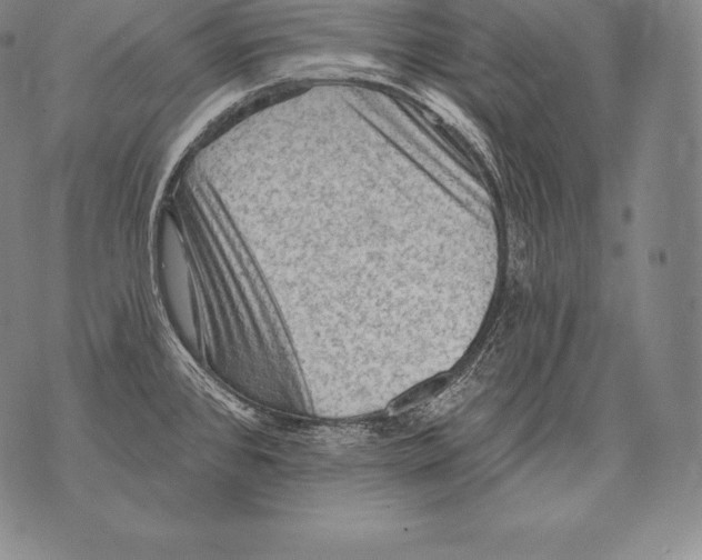 X0000076101384200610152332