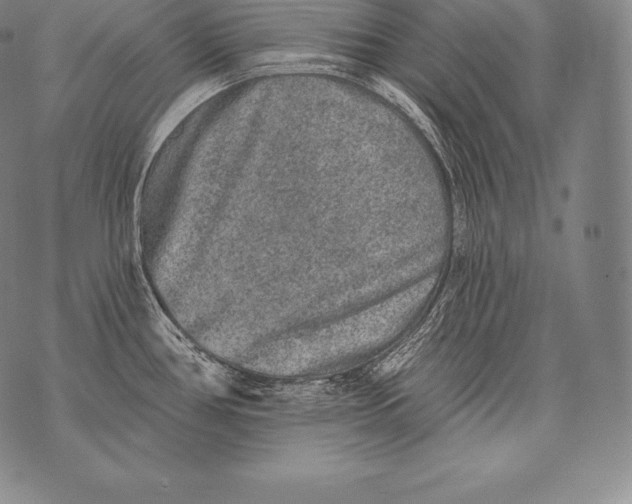 X0000076101386200610152332