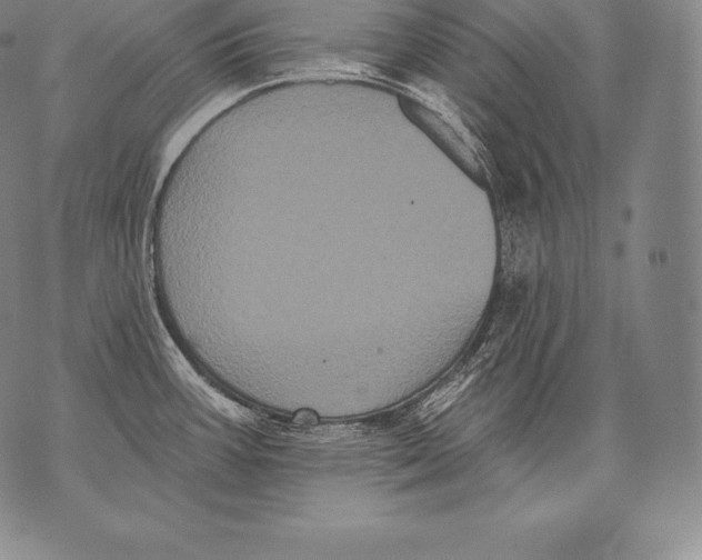 X0000076101387200610152332