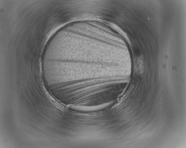 X0000076101388200610152332