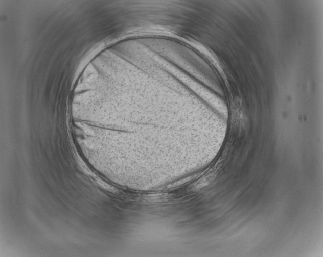 X0000076101390200610152332