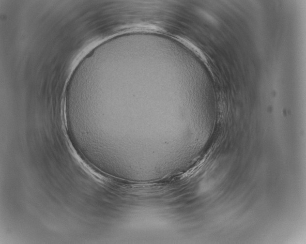 X0000076101391200610152332