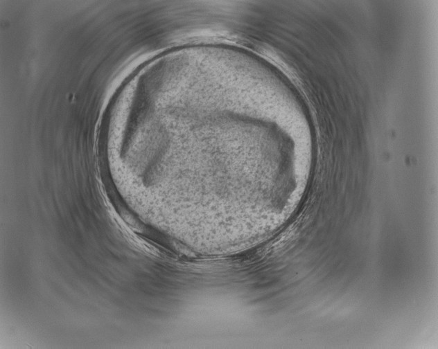 X0000076101392200610152332