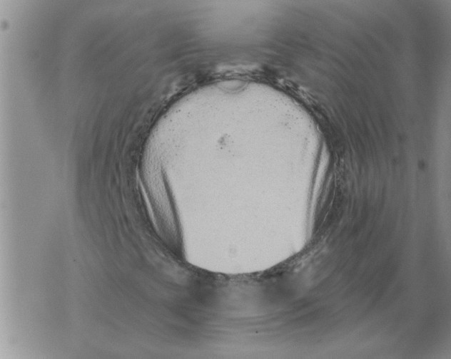 X0000076101393200610152331