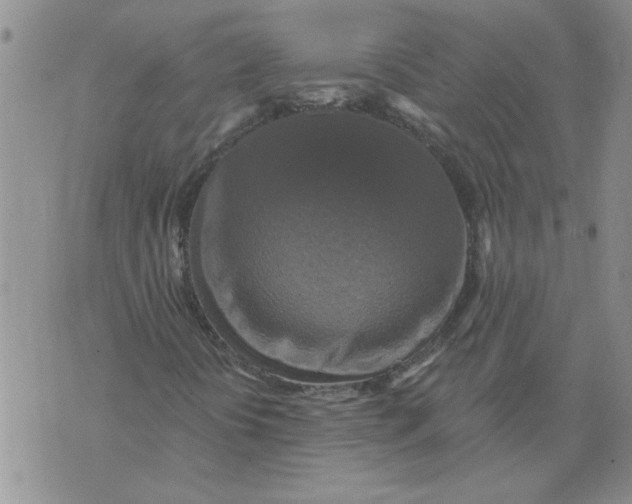 X0000076101394200610152332