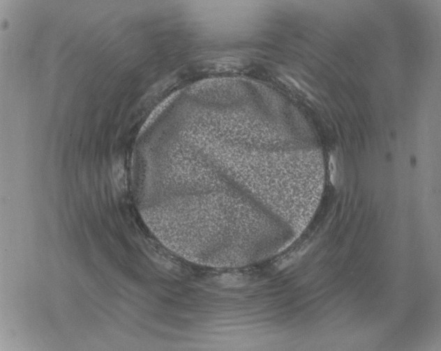 X0000076101395200610152332