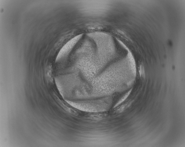 X0000076101396200610152332