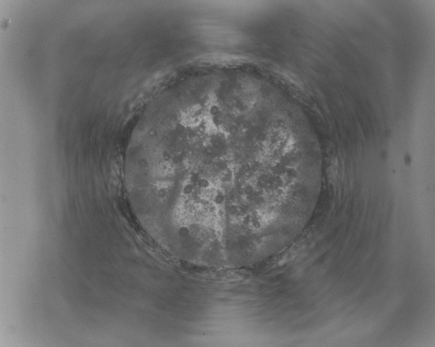 X0000076101397200610152332