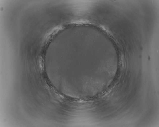 X0000076101398200610152332