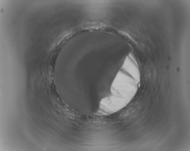 X0000076101399200610152332