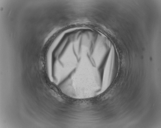 X0000076101400200610152332