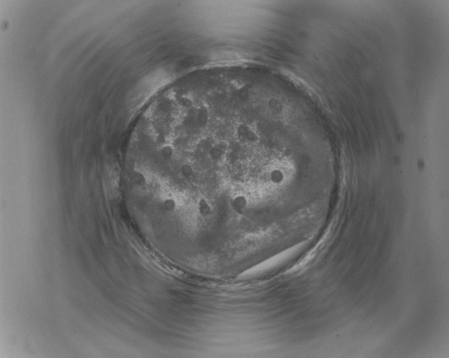 X0000076101401200610152332