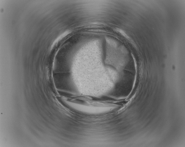 X0000076101402200610152332