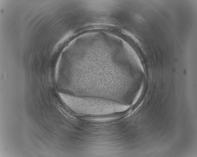 X0000076101403200610152332