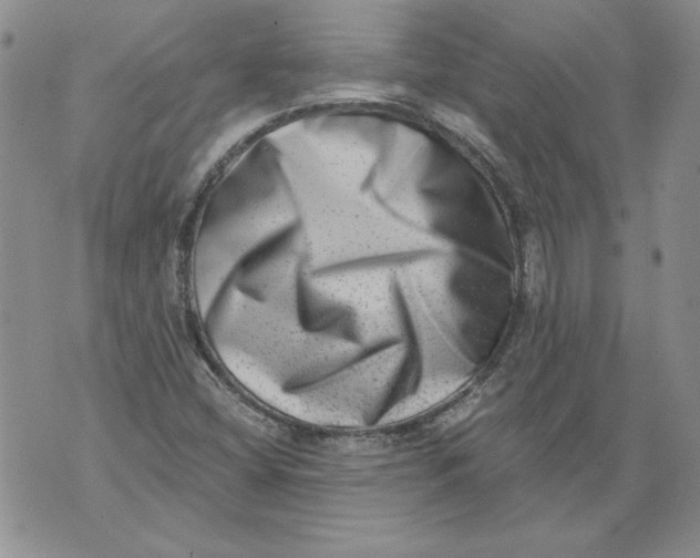 X0000076101404200610152332