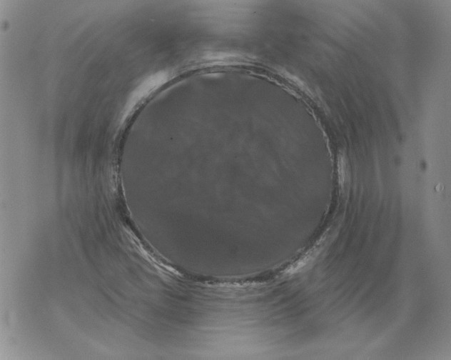 X0000076101405200610152332