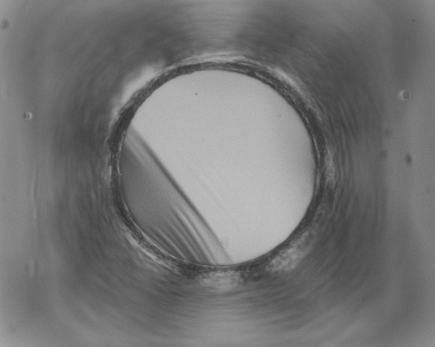 X0000076101406200610152332