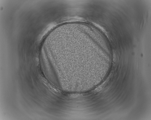 X0000076101407200610152332