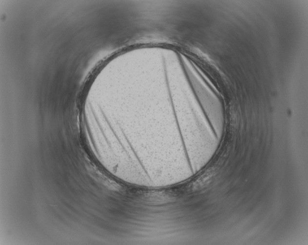 X0000076101408200610152332