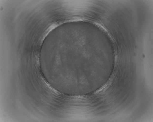 X0000076101409200610152332