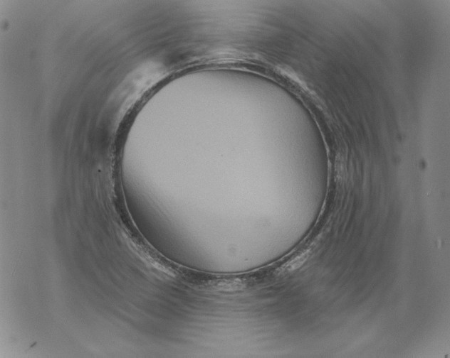 X0000076101410200610152332