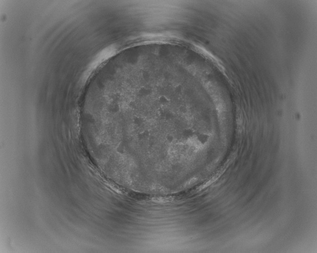 X0000076101411200610152332