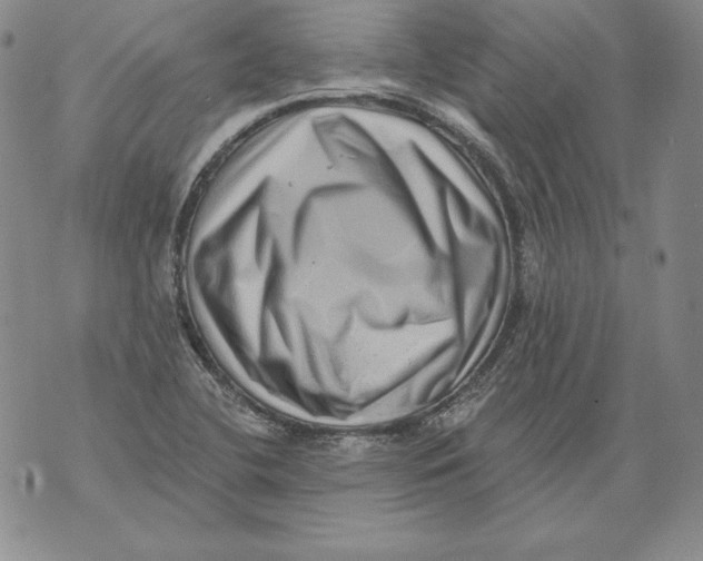 X0000076101412200610152332