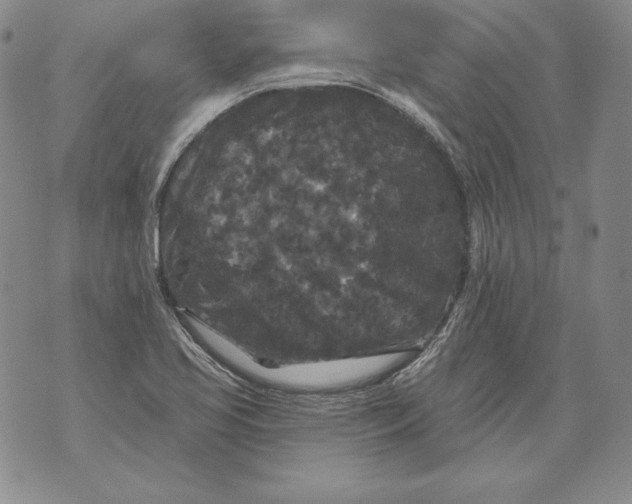 X0000076101413200610152332