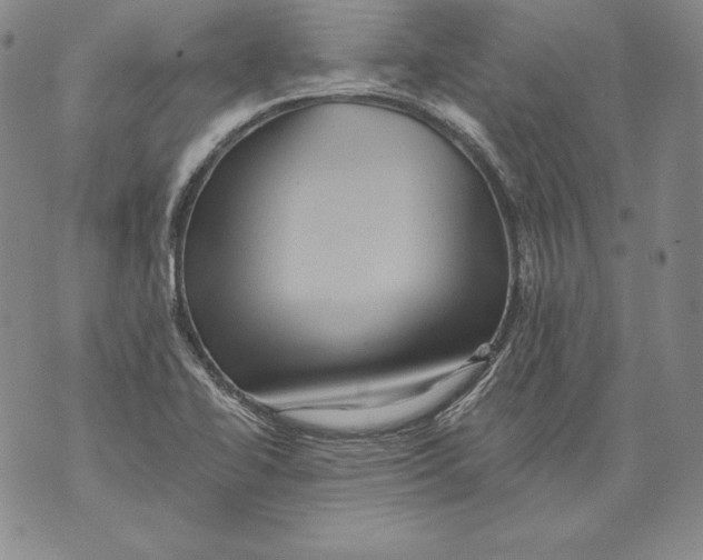 X0000076101414200610152332