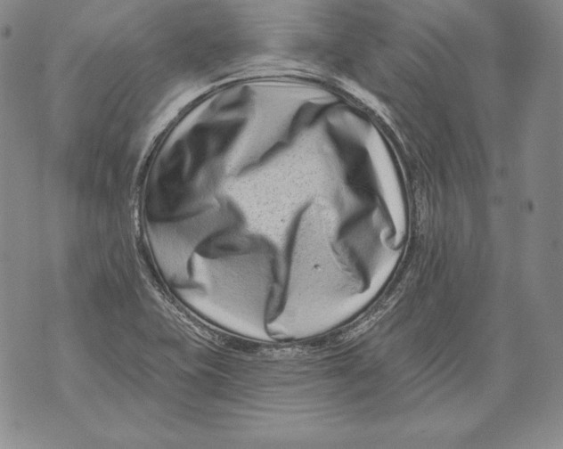 X0000076101415200610152332