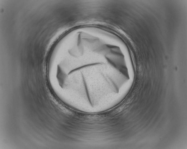 X0000076101416200610152332