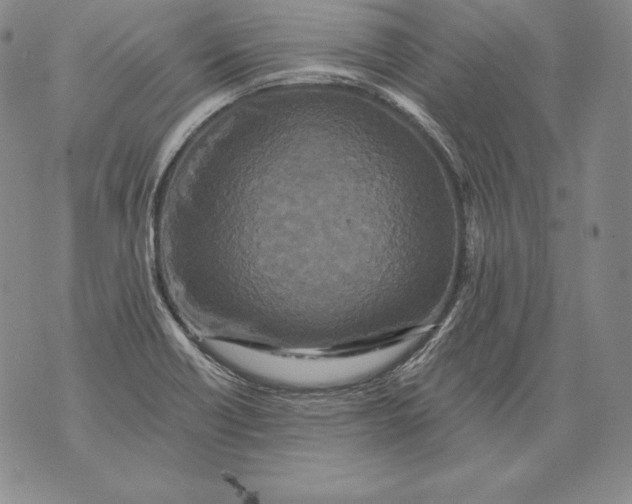 X0000076101418200610152332