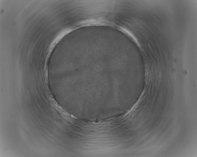 X0000076101419200610152332