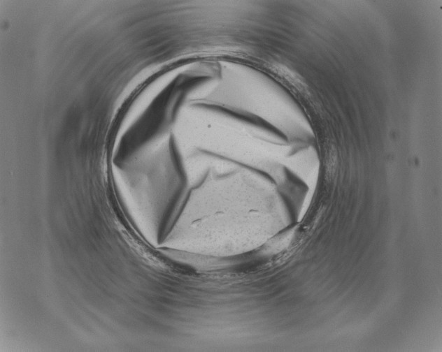 X0000076101420200610152332