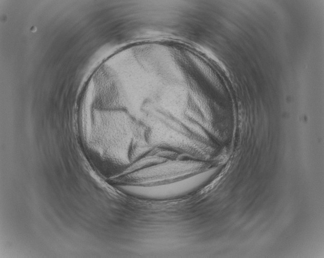 X0000076101421200610152332