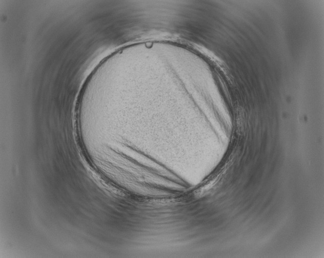 X0000076101423200610152332