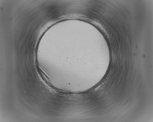 X0000076101424200610152332