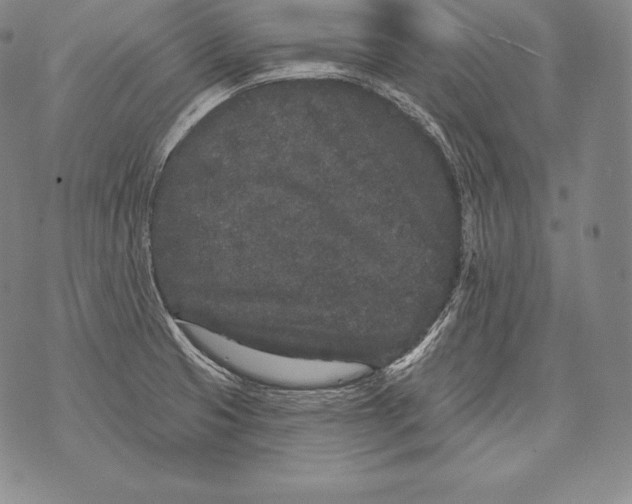 X0000076101425200610152332