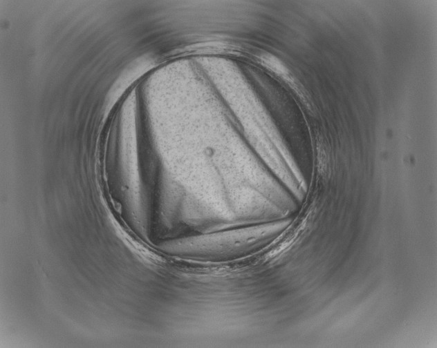 X0000076101426200610152332