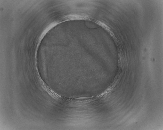 X0000076101427200610152332