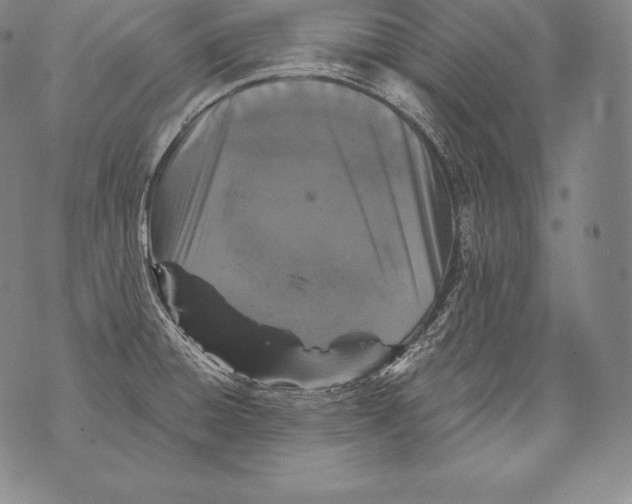 X0000076101428200610152332