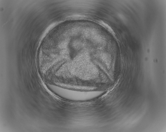 X0000076101429200610152332