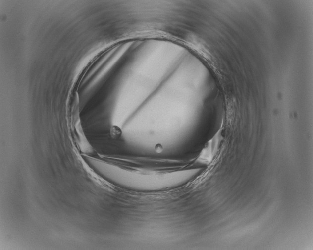 X0000076101430200610152332