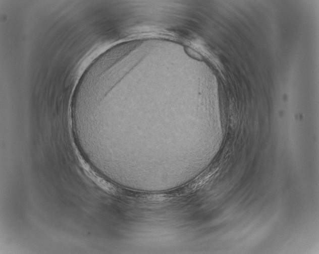 X0000076101431200610152332