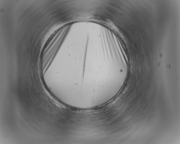 X0000076101432200610152332