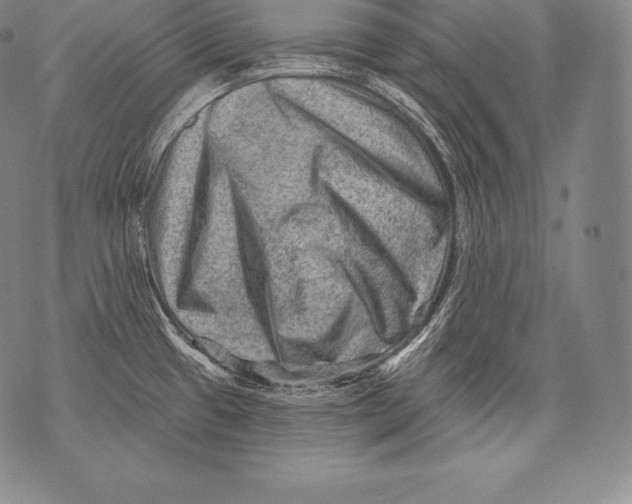 X0000076101433200610152332