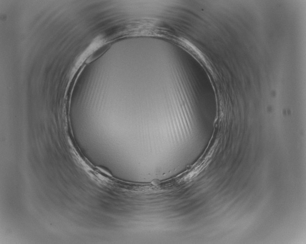 X0000076101434200610152332