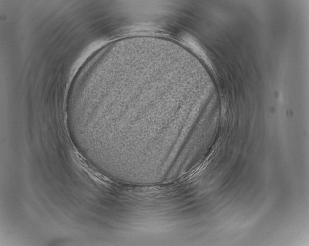 X0000076101435200610152332